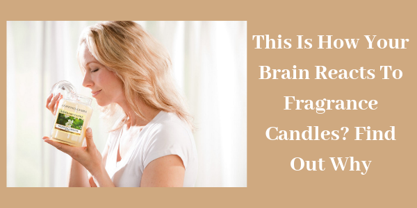 LIGHTHAUS : This Is How Your Brain Reacts To Fragrance Candles? Find Out Why-Lighthaus Candle