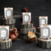 Scented Candle Online India Lighthouse Candle Scented Candle Regalia Festive Gift Set with 12 Scented Candles Candle for Decoration